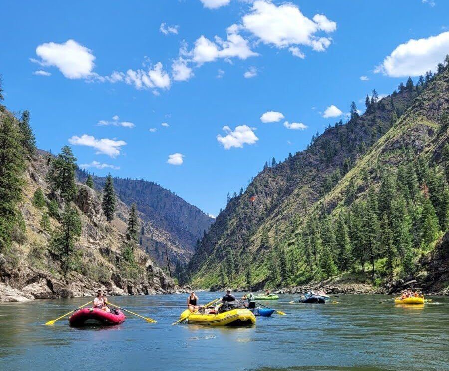 Main Salmon River